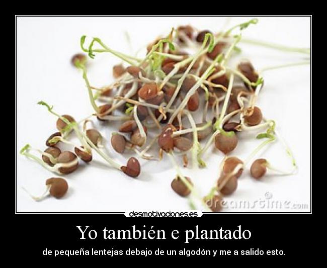 Yo también e plantado - 