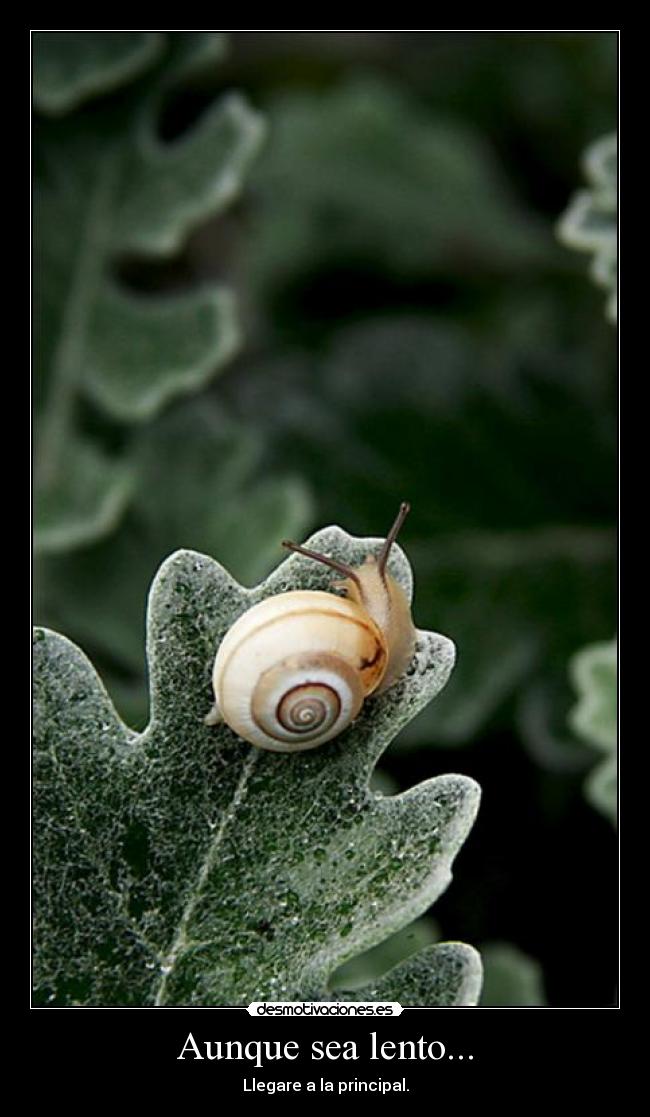 Aunque sea lento... -