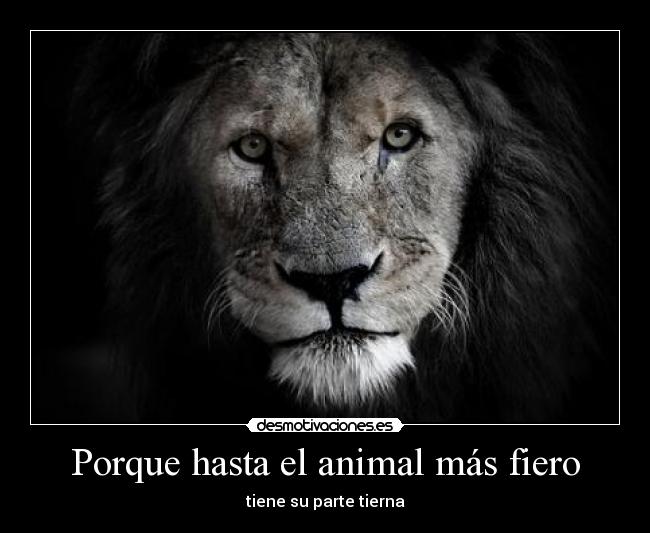 carteles animalpartetiernafiero desmotivaciones