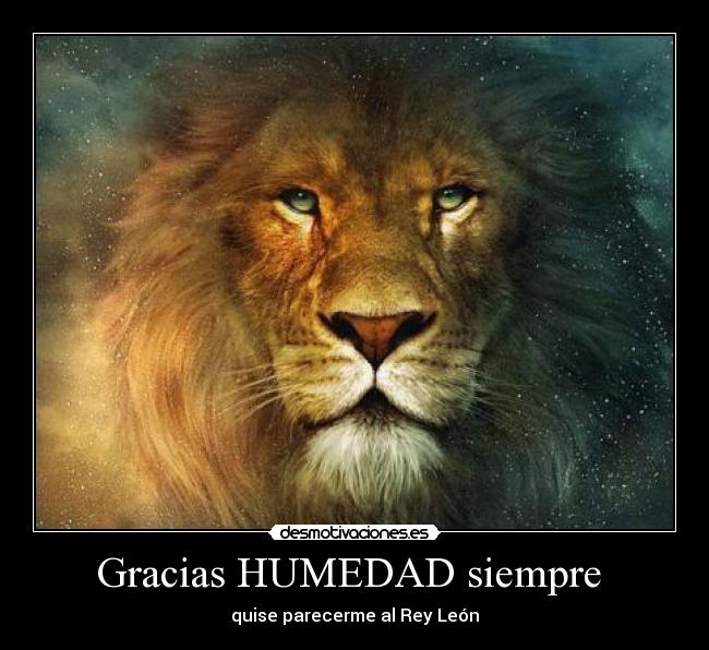 Gracias HUMEDAD siempre  - quise parecerme al Rey León