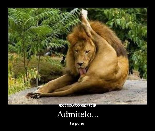 Admitelo... - te pone.