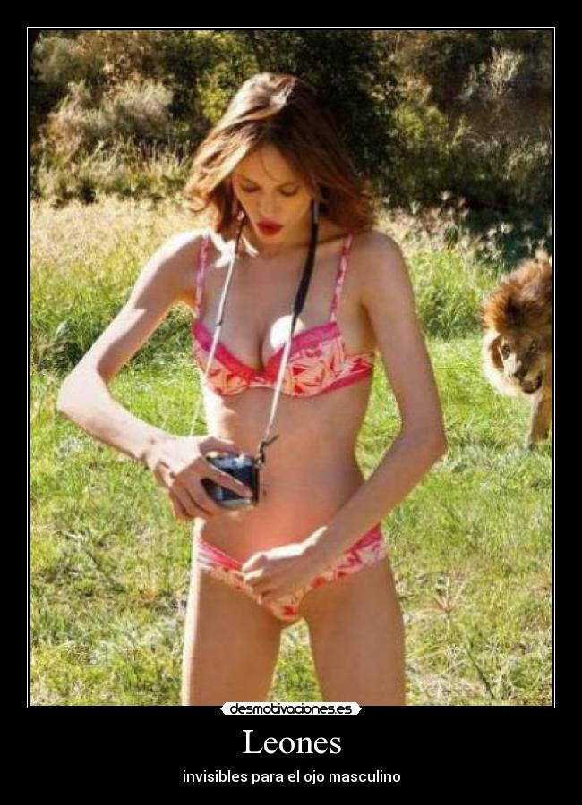 Leones - invisibles para el ojo masculino