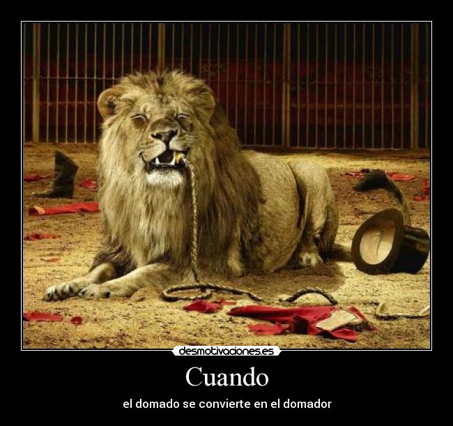Cuando - el domado se convierte en el domador