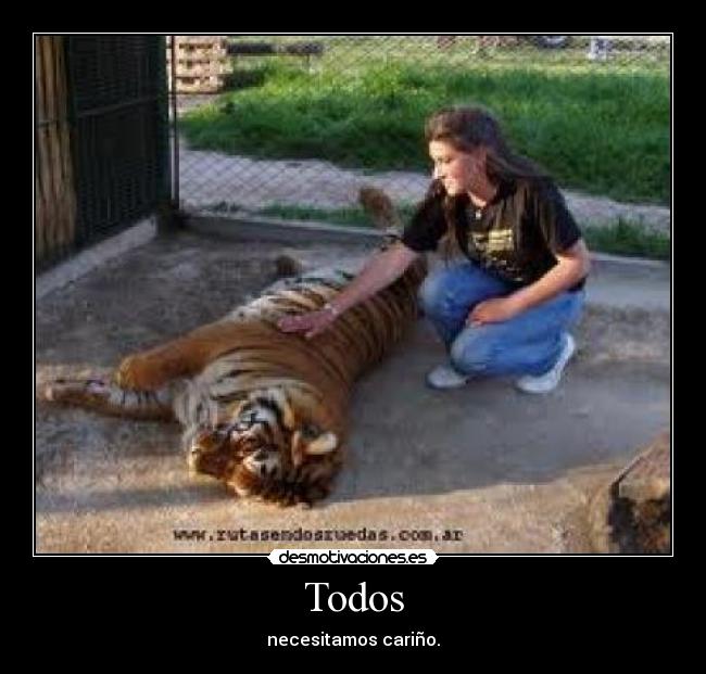Todos - necesitamos cariño.