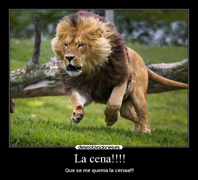 carteles cena desmotivaciones