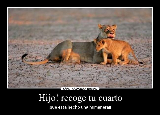 Hijo! recoge tu cuarto - que está hecho una humanera!!