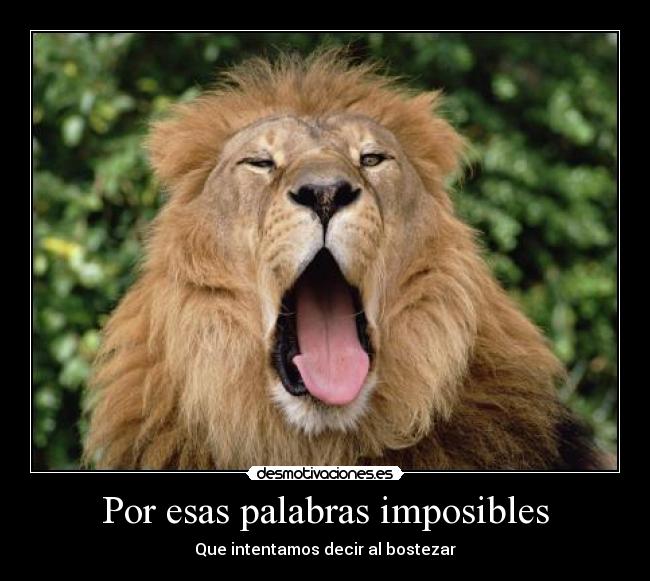 Por esas palabras imposibles -