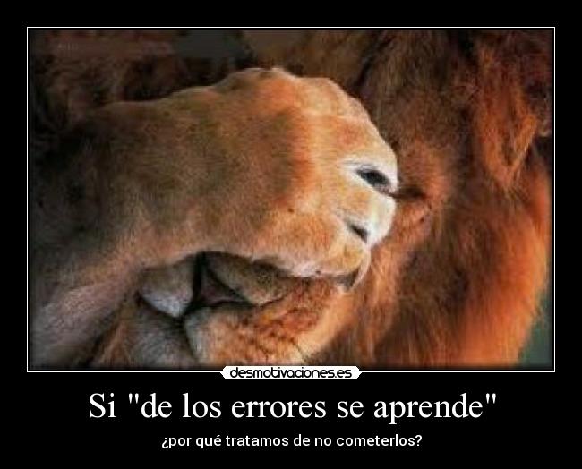 Si de los errores se aprende - 