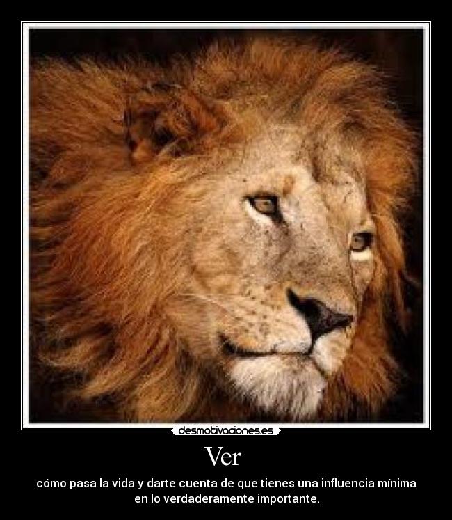 carteles thecatpower desmotivaciones