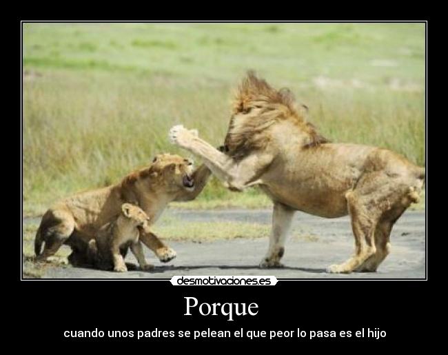 Porque -