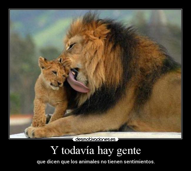 Y todavía hay gente - que dicen que los animales no tienen sentimientos.
