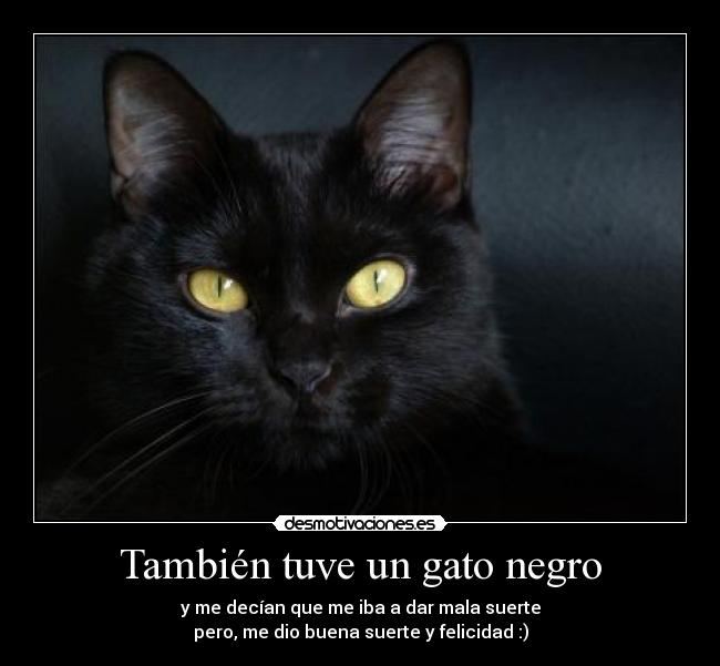 También tuve un gato negro - y me decían que me iba a dar mala suerte
pero, me dio buena suerte y felicidad :)