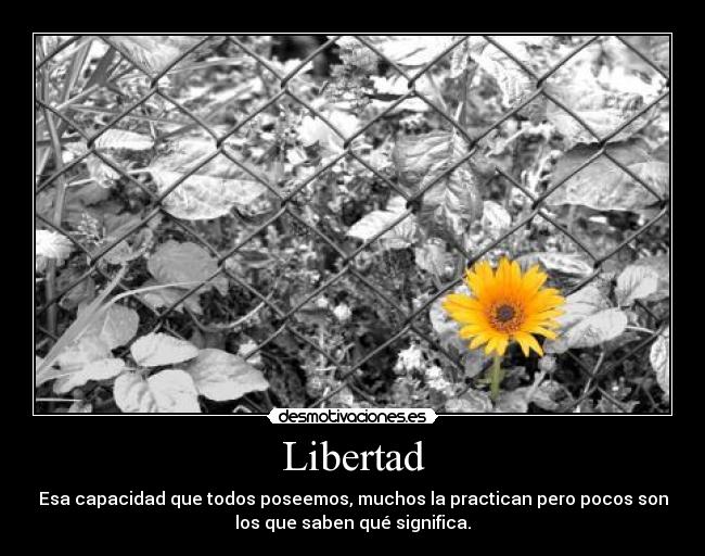 Libertad - Esa capacidad que todos poseemos, muchos la practican pero pocos son
los que saben qué significa.