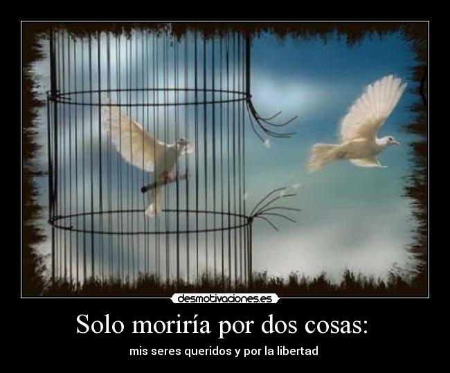 Solo moriría por dos cosas:  - mis seres queridos y por la libertad 