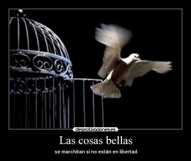 Las cosas bellas -