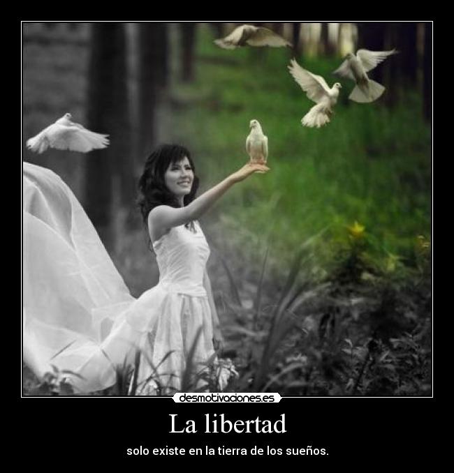La libertad - solo existe en la tierra de los sueños.