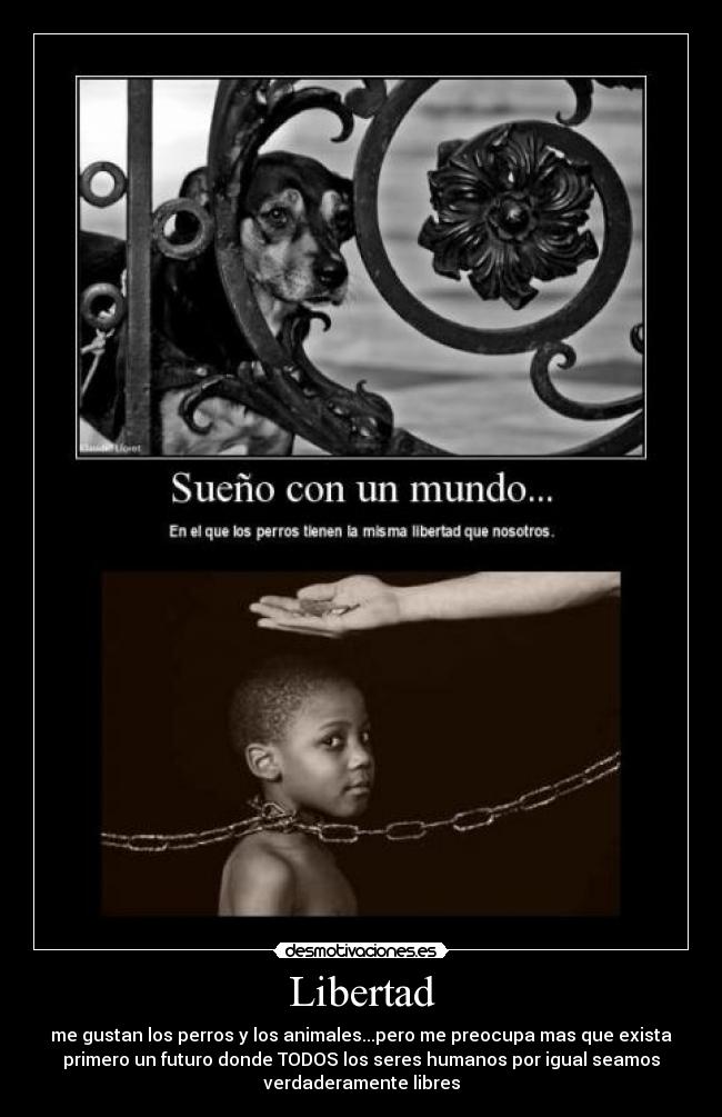 Libertad - me gustan los perros y los animales...pero me preocupa mas que exista
primero un futuro donde TODOS los seres humanos por igual seamos
verdaderamente libres