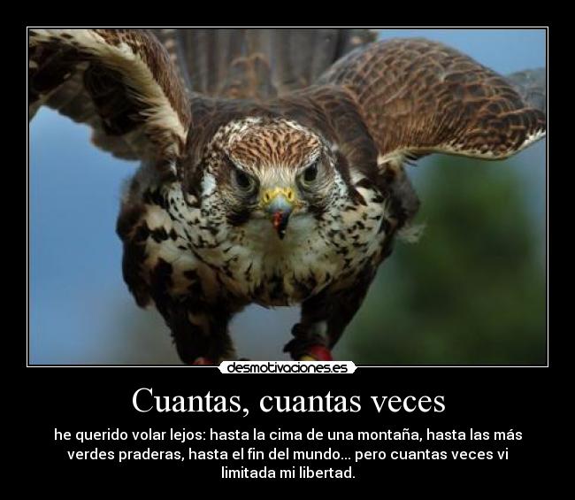 Cuantas, cuantas veces - he querido volar lejos: hasta la cima de una montaña, hasta las más
verdes praderas, hasta el fin del mundo... pero cuantas veces vi
limitada mi libertad.