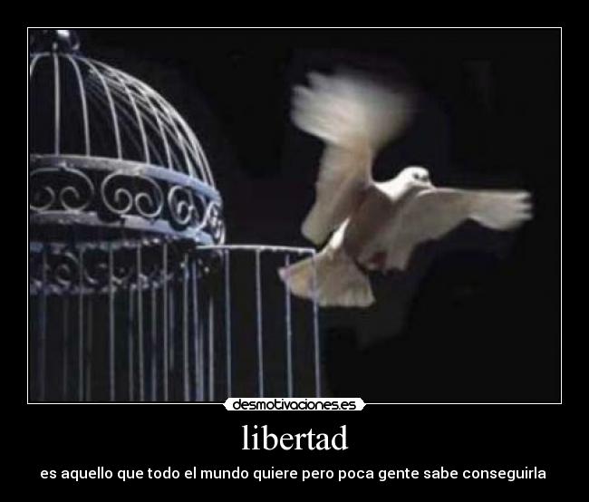 carteles libertad libertad desmotivaciones