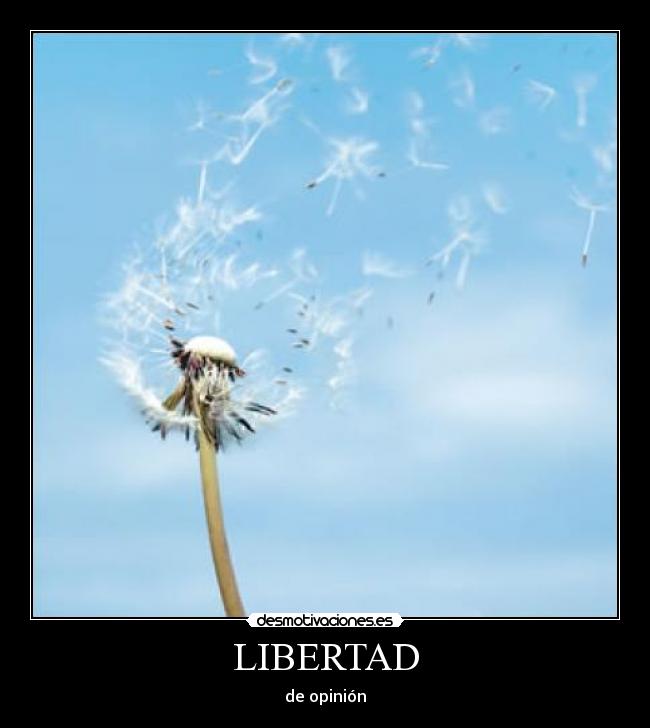 LIBERTAD - de opinión