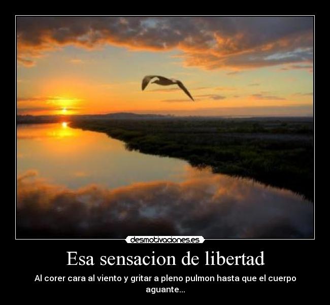 carteles libertad esa sensacion libertad cuando corres cara viento gritas pleno pulmon desmotivaciones