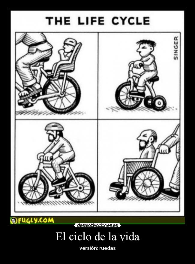 El ciclo de la vida - 