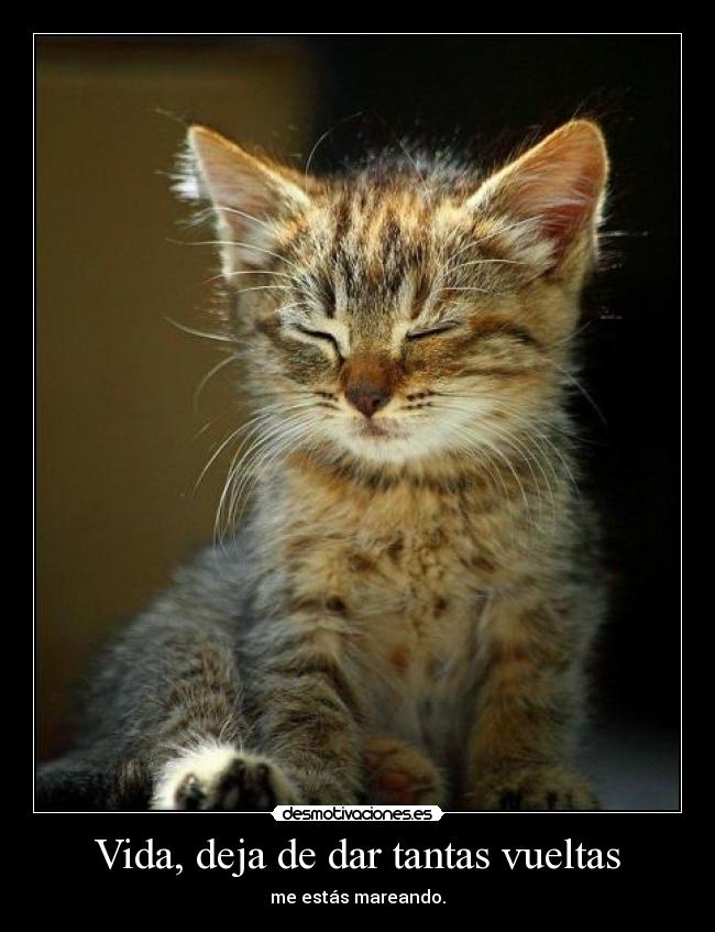 Vida, deja de dar tantas vueltas -