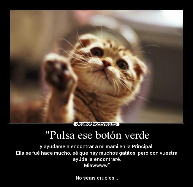 Pulsa ese botón verde - y ayúdame a encontrar a mi mami en la Principal.
Ella se fué hace mucho, sé que hay muchos gatitos, pero con vuestra
ayúda la encontraré.
Miawwww

No seais crueles...