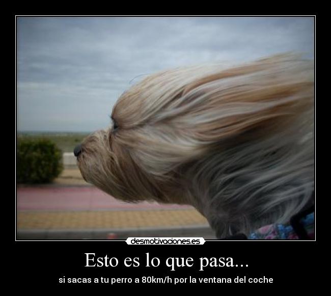 Esto es lo que pasa... -