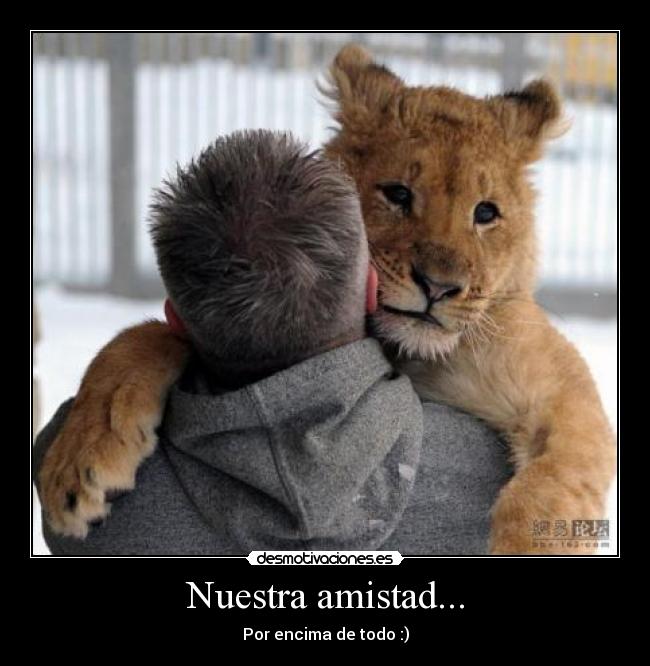 Nuestra amistad... - 