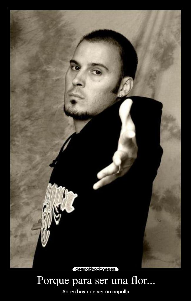 Porque para ser una flor... - Antes hay que ser un capullo
