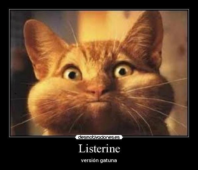 Listerine -