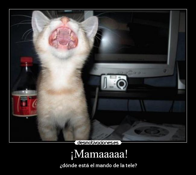 ¡Mamaaaaa! -