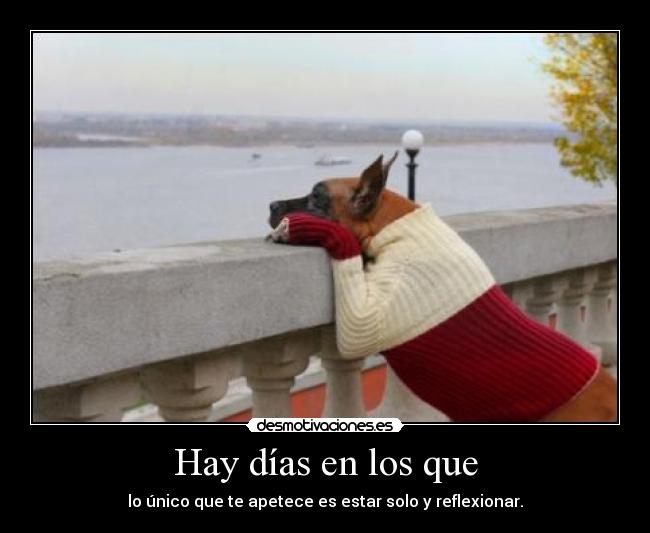 Hay días en los que - lo único que te apetece es estar solo y reflexionar.