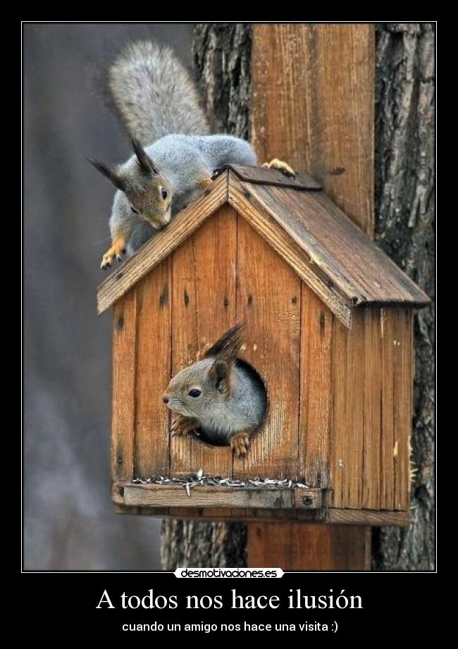 carteles ardillas desmotivaciones