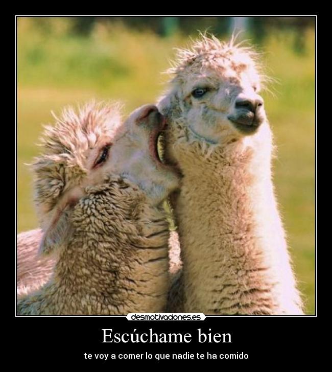Escúchame bien - 