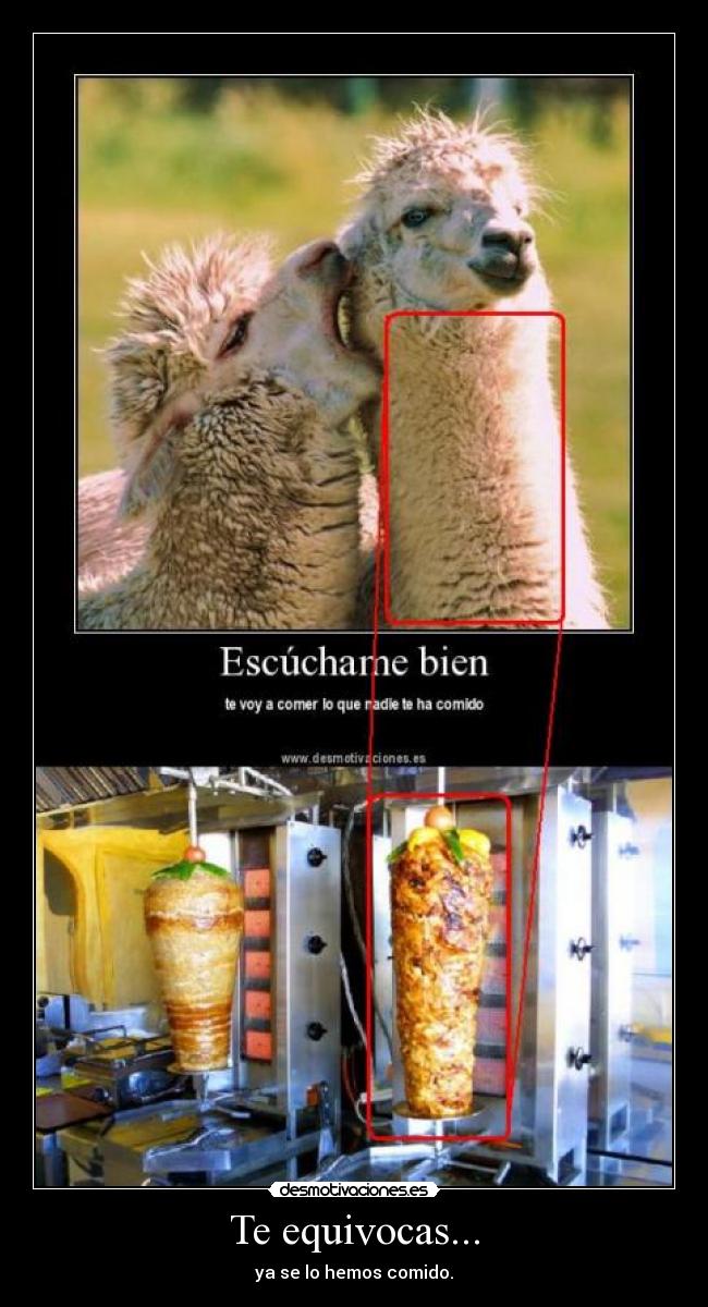 Te equivocas... - ya se lo hemos comido.