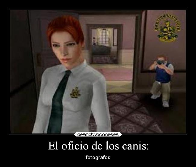El oficio de los canis: - fotografos