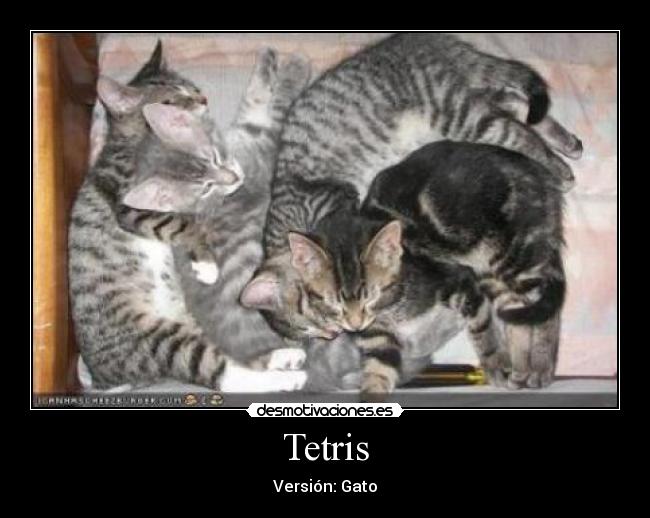Tetris - Versión: Gato