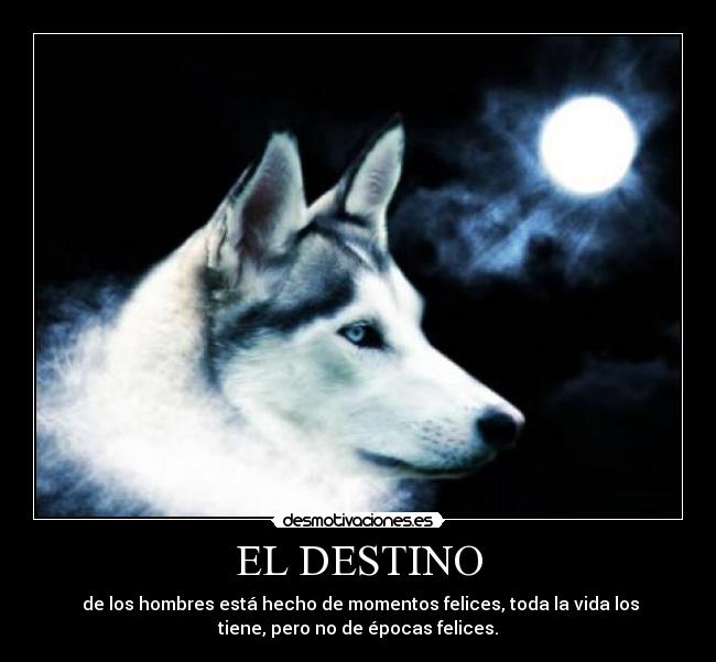 EL DESTINO -  de los hombres está hecho de momentos felices, toda la vida los
tiene, pero no de épocas felices.