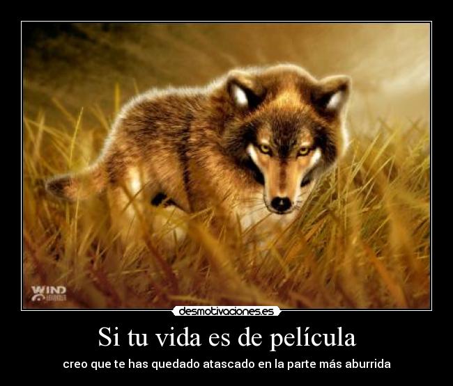 Si tu vida es de película -