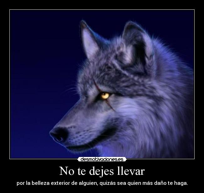 No te dejes llevar - por la belleza exterior de alguien, quizás sea quien más daño te haga.