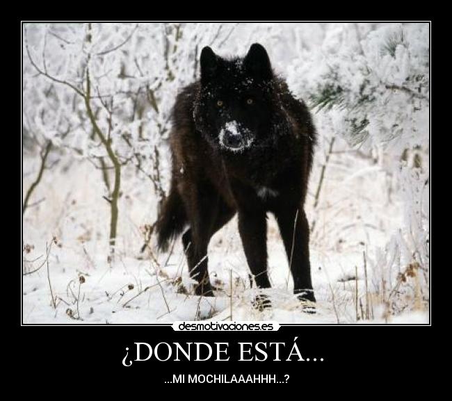 ¿DONDE ESTÁ...  - ...MI MOCHILAAAHHH...?