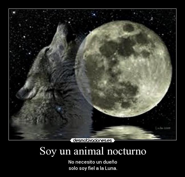 Soy un animal nocturno - 