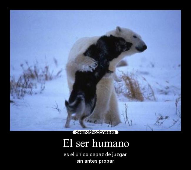 El ser humano - es el único capaz de juzgar
sin antes probar