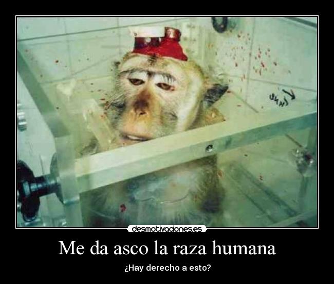 Me da asco la raza humana -