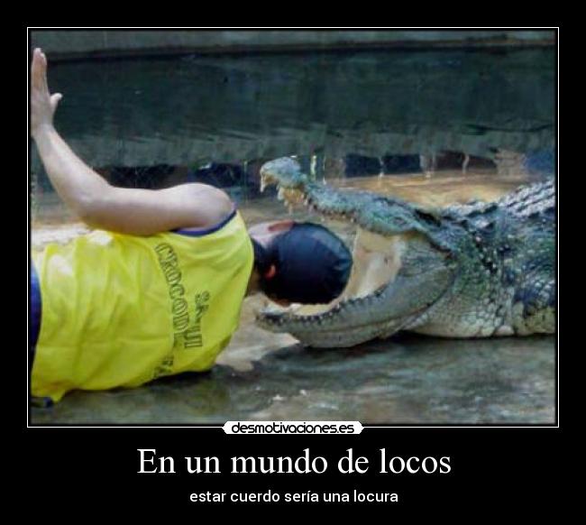 En un mundo de locos -