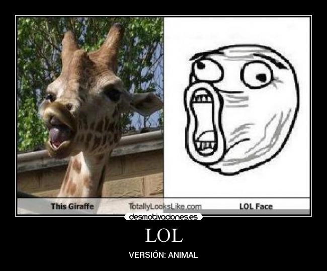 LOL - VERSIÓN: ANIMAL