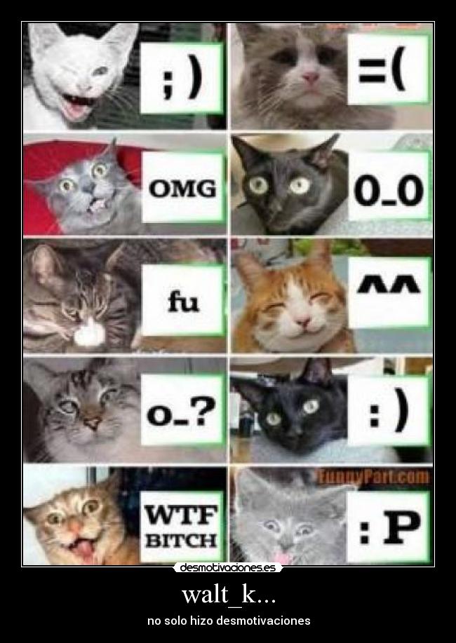walt_k... - no solo hizo desmotivaciones
