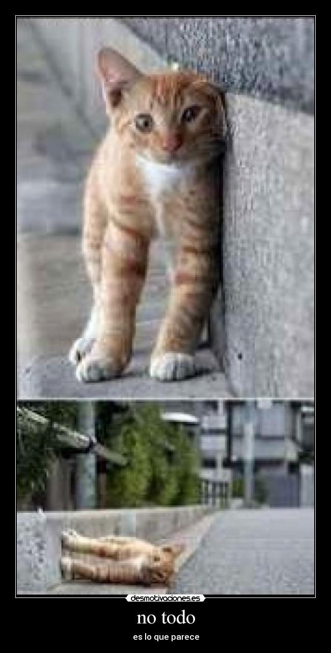 no todo - es lo que parece